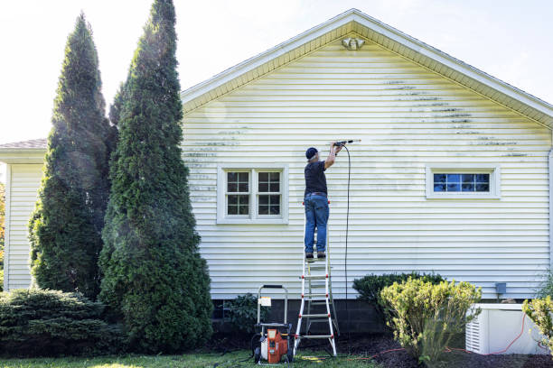 Best Affordable Pressure Washing  in Oblong, IL