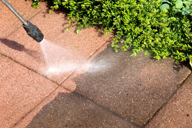 Best Power Washing Near Me  in Oblong, IL